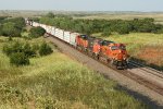 BNSF wb freight climbing 1 % grade Curtis Hill effortlessly